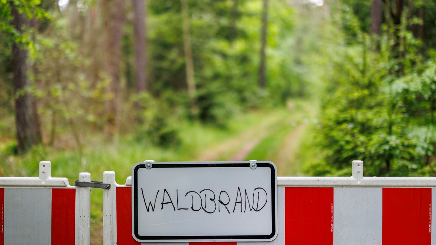 Feuerwehreinsatz: 160 Feuerwehrleute bei Waldbrand im Saarland im Einsatz