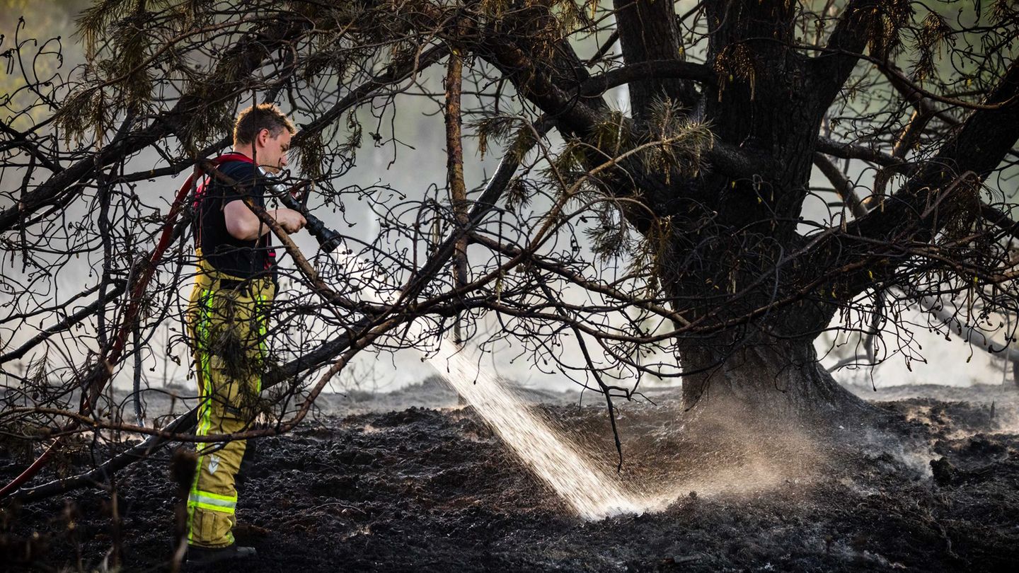 Zur Bekämpfung der Flammen baten die Niederlande zum ersten Mal auch andere Länder um Hilfe. Foto: Rob Engelaar/ANP/dpa