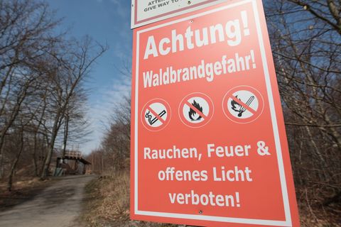 Die Waldbrandgefahr in Sachsen steigt. (Archivbild) Foto: Matthias Bein/dpa