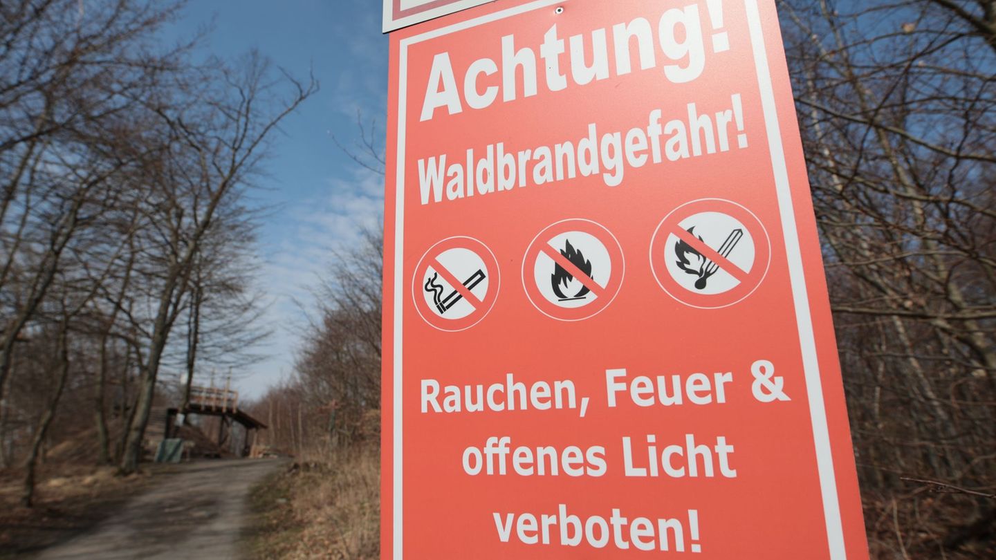 Die Waldbrandgefahr in Sachsen steigt. (Archivbild) Foto: Matthias Bein/dpa