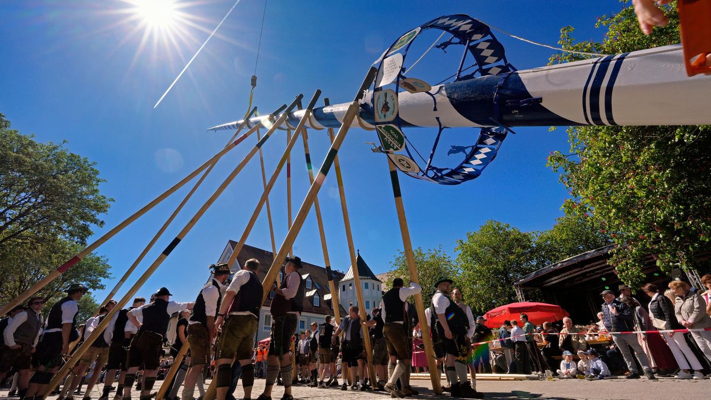 Kirchseeon, Deutschland. Mit reiner Muskelkraft und den „Schwaiberl“ genannten Stangen stellen Helfer den über 30 Meter hohen traditionellen Maibaum auf. Organisiert hat das die „Aktion Maibaum“, der Mitglieder von Feuerwehr, Trachtenverein und Kegelclub angehören.