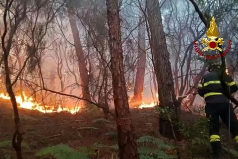 Waldbrand am Berg Monte Faeta zwischen Lucca und Pisa