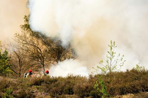 Feuerwehrleute bekämpfen einen Brand in den Niederlanden