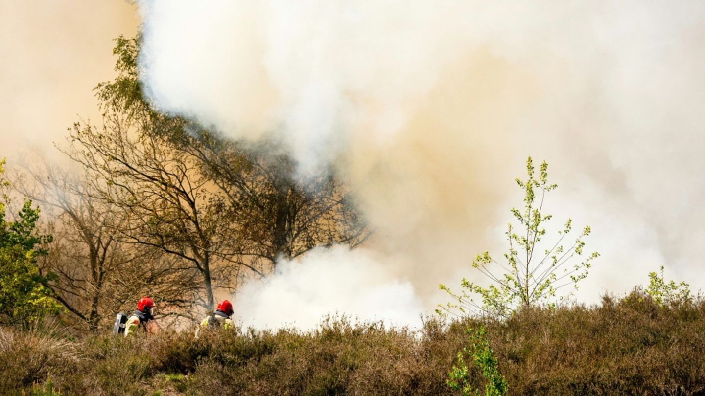 Feuerwehrleute bekämpfen einen Brand in den Niederlanden
