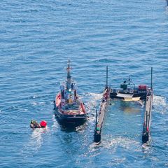 Das Schutznetz an der Barge, das den Buckelwal bei seinem Transport bislang vom offenen Wasser trennte, ist entfernt worden