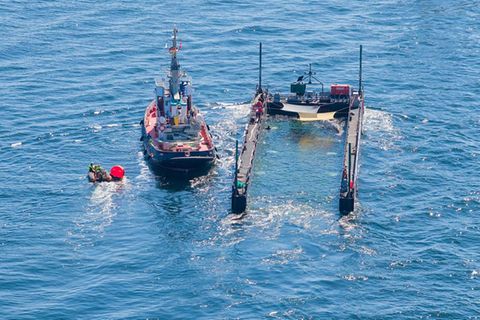 Das Schutznetz an der Barge, das den Buckelwal bei seinem Transport bislang vom offenen Wasser trennte, ist entfernt worden