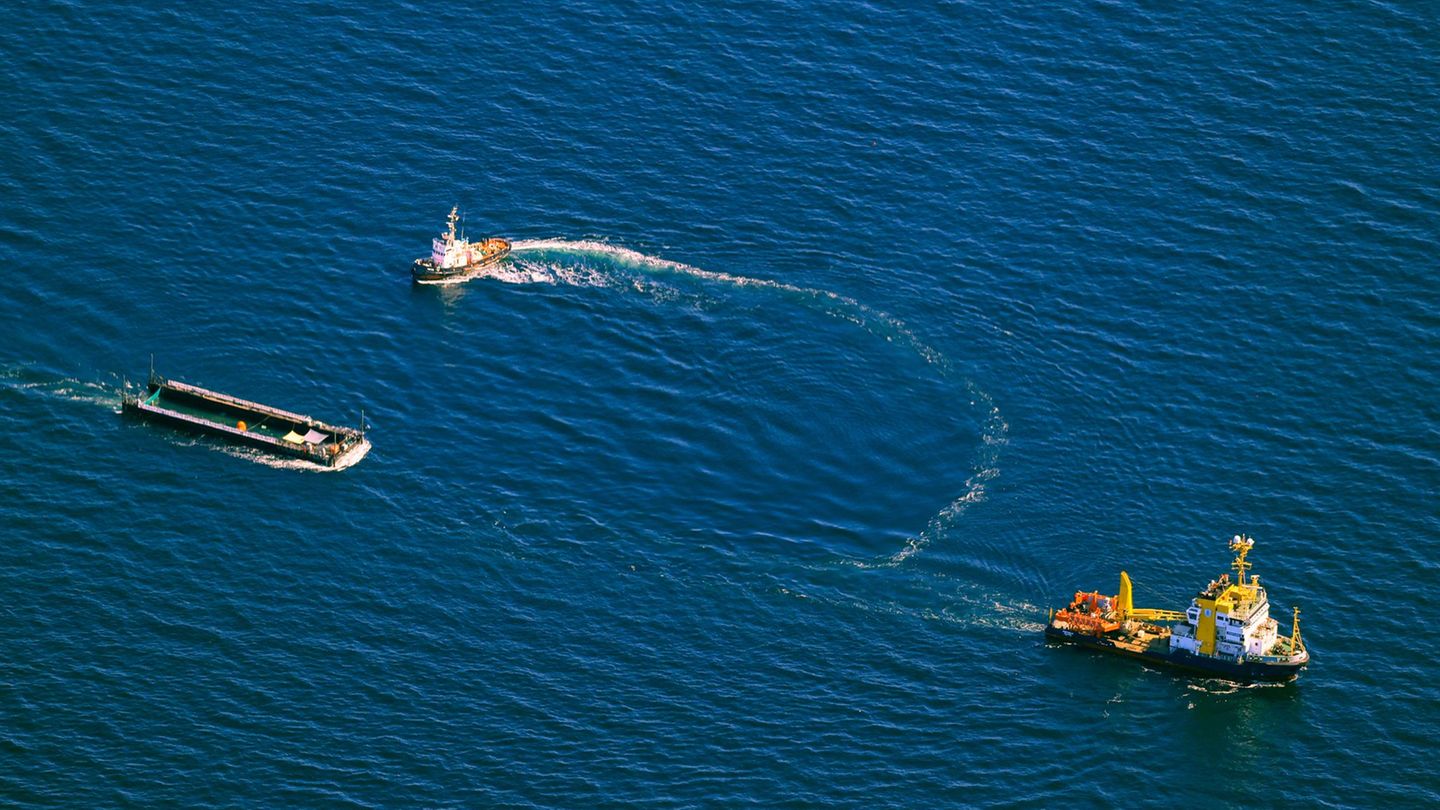Private Transport-Aktion: Buckelwal wieder in der Nordsee - Am Morgen von Bord