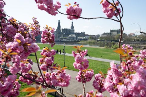 Nächste Woche steht ein Wetterumschwung an. (Archivbild) Foto: Sebastian Kahnert/dpa