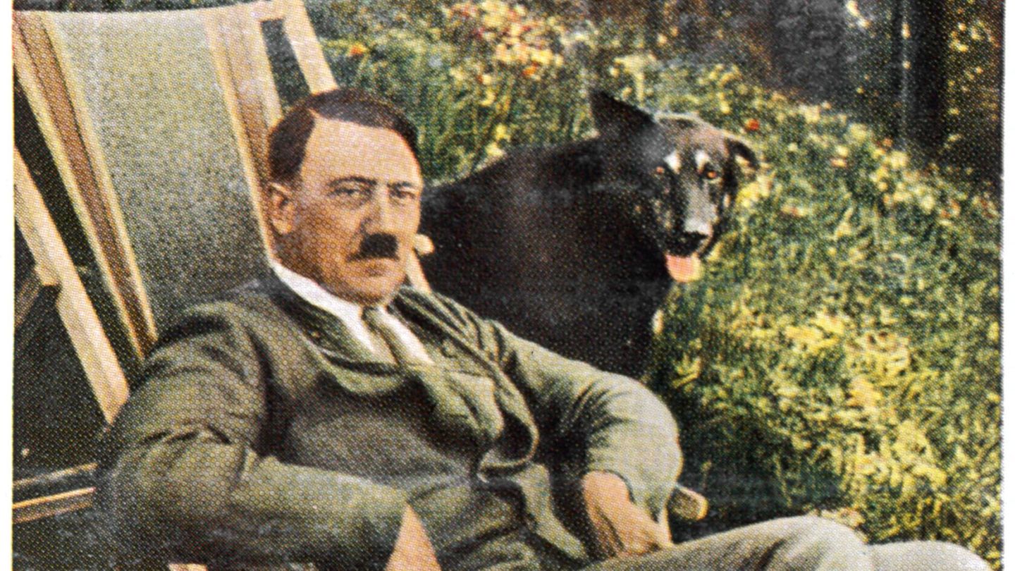 Walrettung von rechts: Warum Tierschutz für Hitler wichtig war – und was das mit Wal „Timmy“ zu tun hat
