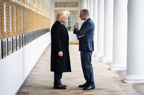 Donald Trump und Friedrich Merz