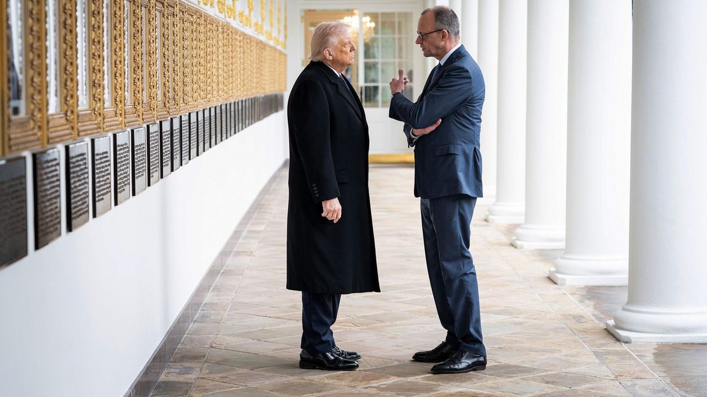Donald Trump und Friedrich Merz