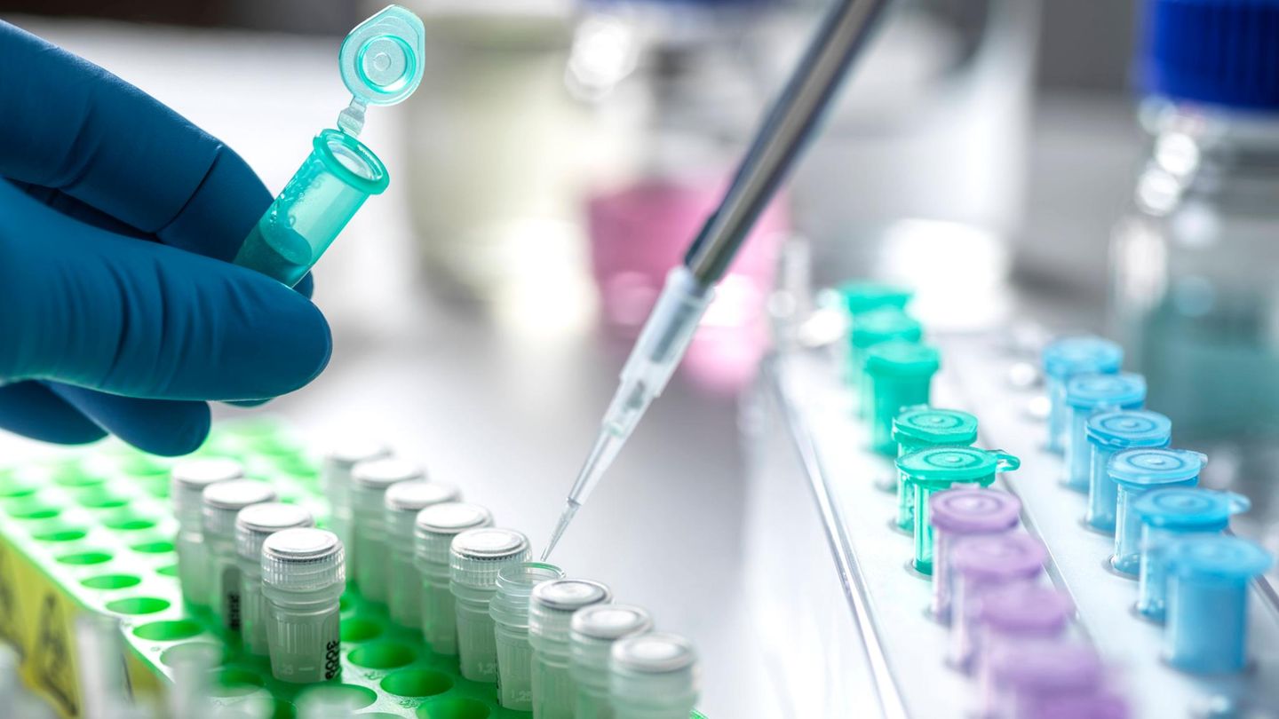 Unterschiedliche Väter: Sie sind Zwillinge – aber laut DNA-Test nur Halbschwestern