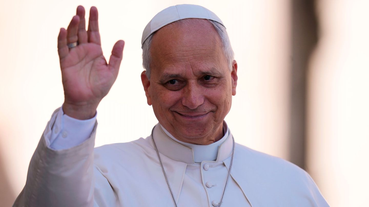 Papst Leo XIV. bei einer Generalaudienz im Vatikan. (Archivbild) Foto: Alessandra Tarantino/AP/dpa