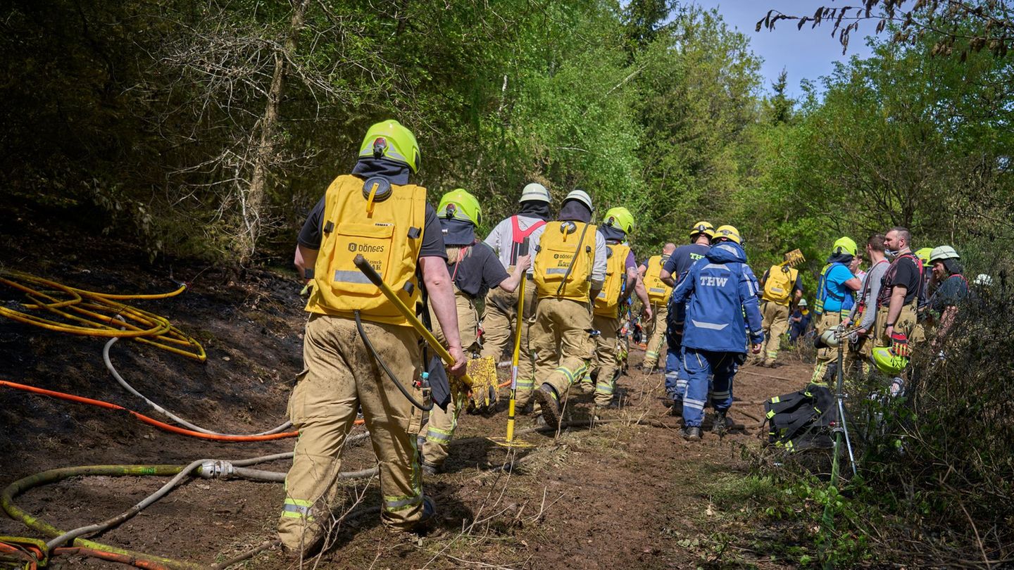 Brände: Mehrere Wald- und Vegetationsbrände fordern Einsatzkräfte