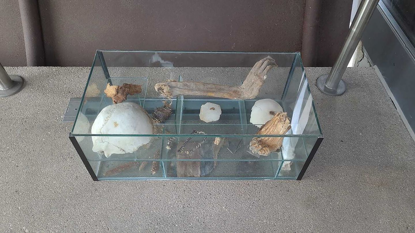 Die ungewöhnliche Vitrine wartet noch auf einen passenden Forschungs- oder Ausstellungsort. (Handout) Foto: -/Polizeipräsidium R