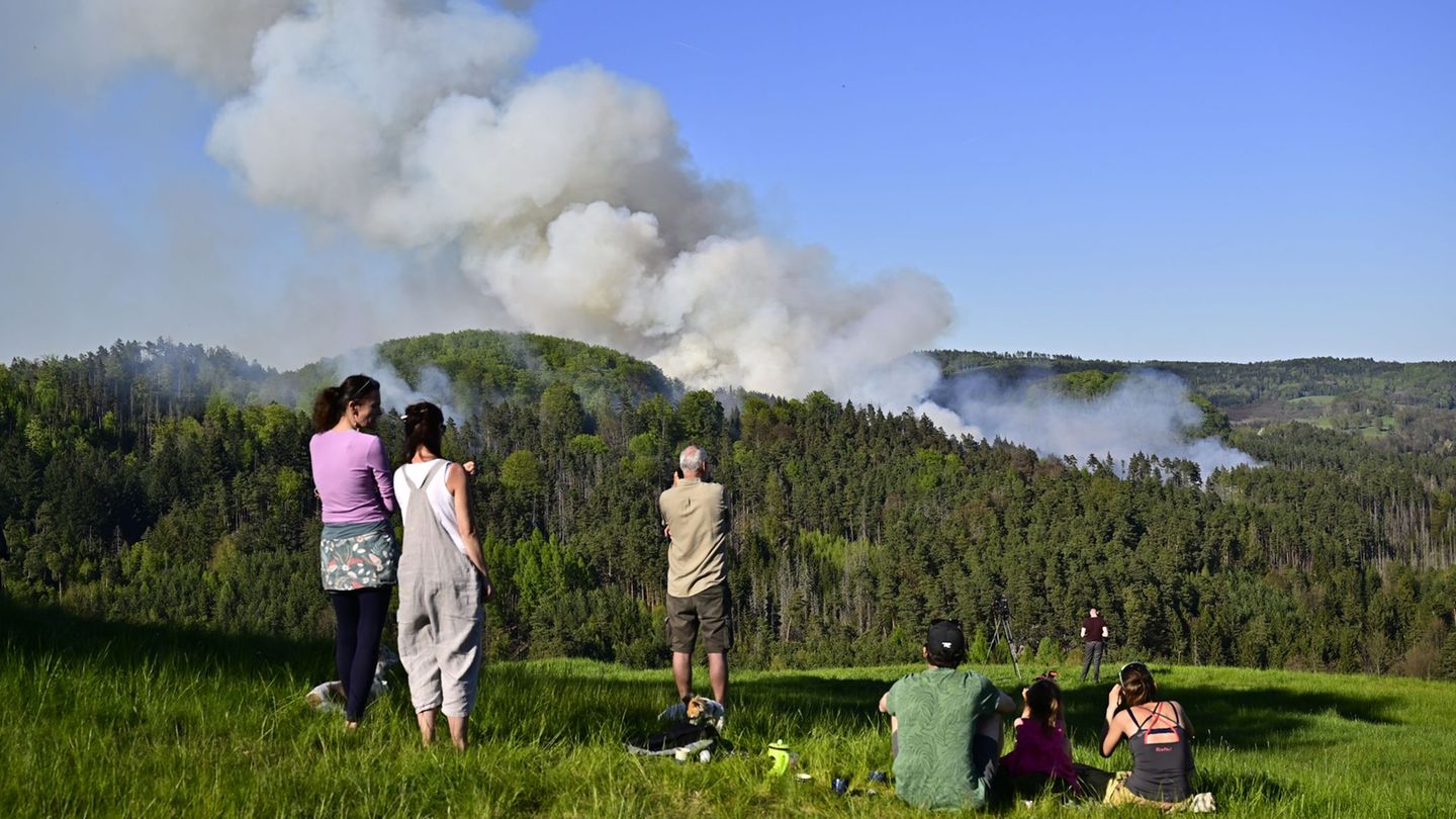 Tschechien: Großbrand im Nationalpark - 500 Einsatzkräfte vor Ort