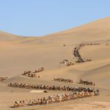 Dunhuang, China. Mit einer exklusiven Safari hat das nichts zu tun: Tausende Touristen reiten Kamelen zum Mingsha-Berg. Das erste Maiwochenende steht in China im Zeichen des Tags der Arbeit. In diesem Jahr nutzen viele das verlängerte Wochenende für einen Kurzurlaub oder Ausflüge.