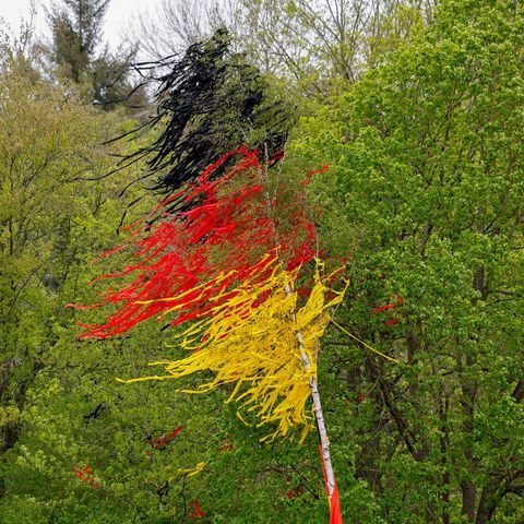 Schleiden, Deutschland. Ein Maibaum, geschmückt mit Bändern in den Farben Schwarz, Rot und Gold, steht auf einem Platz. 