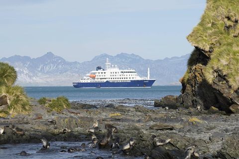 Hantavirus auf „MV Hondius“ im Atlantik (Archivfoto)