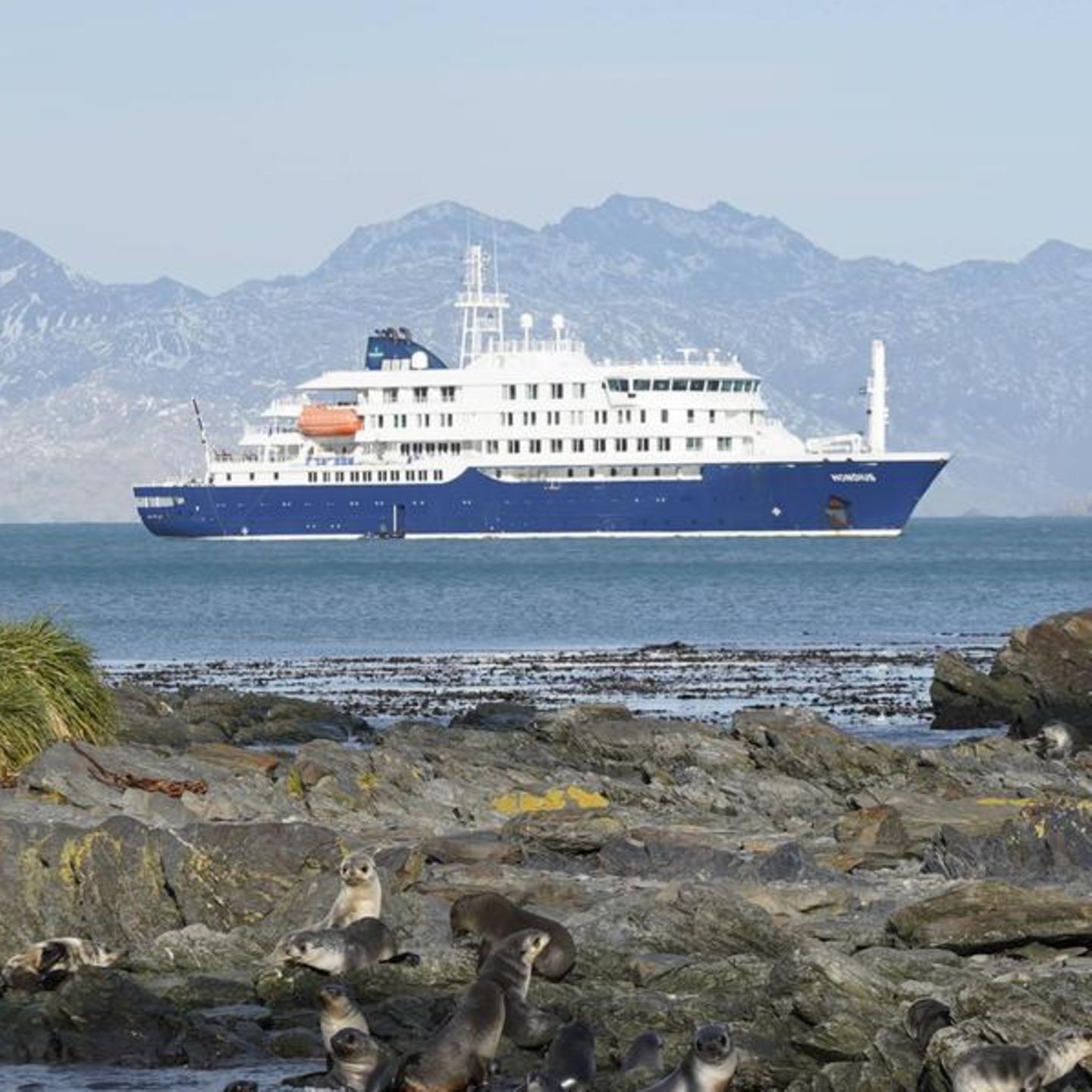 Hantavirus auf „MV Hondius“ im Atlantik (Archivfoto)