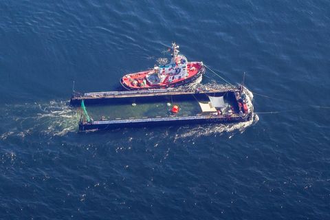 Der Buckelwal wurde in seiner Barge vom Schlepper Fortuna B entlang der dänischen Küste in Höhe unterhalb von Skagen, im sogenan
