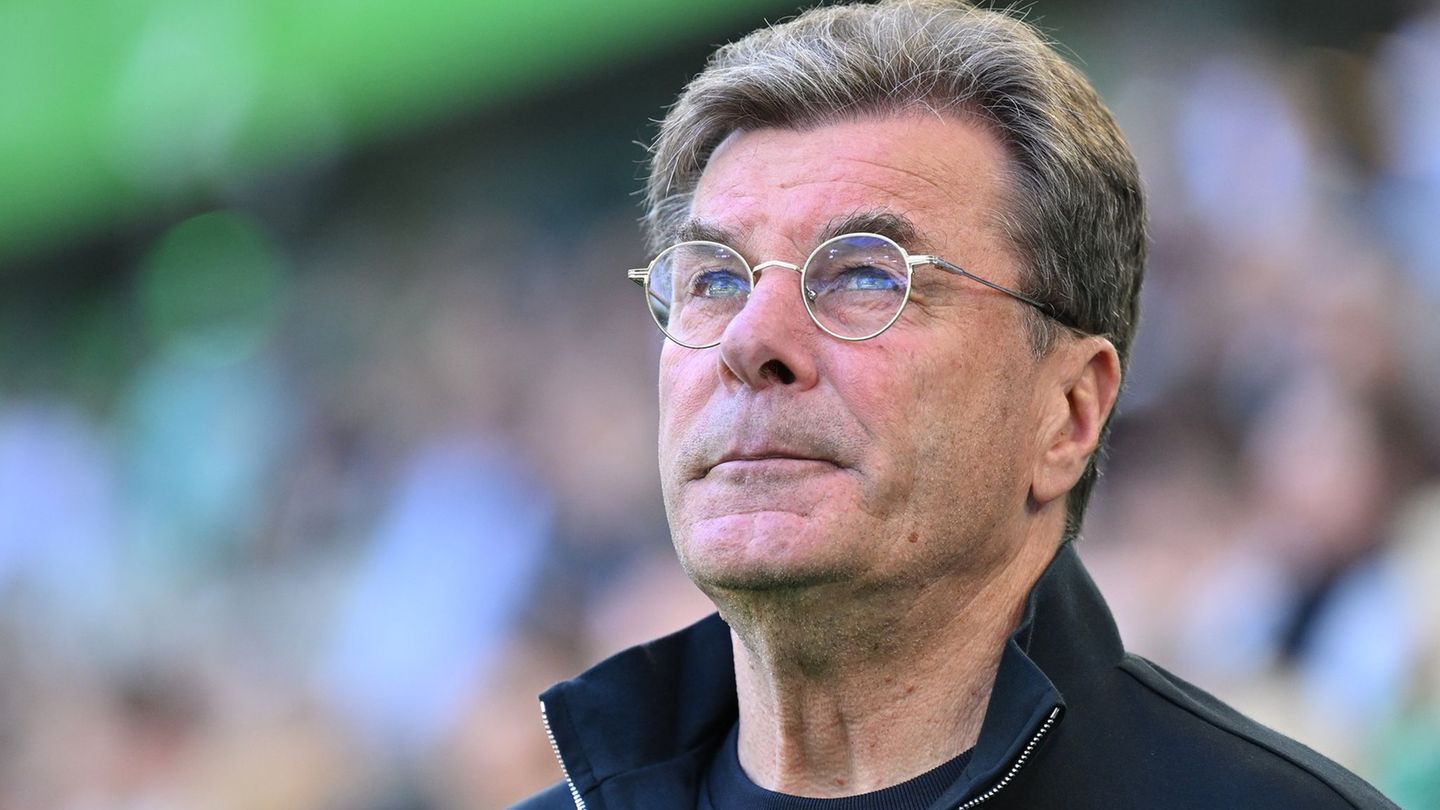 Fußball-Bundesliga: Warum Wolfsburgs Trainer Hecking Wein geschenkt bekommt