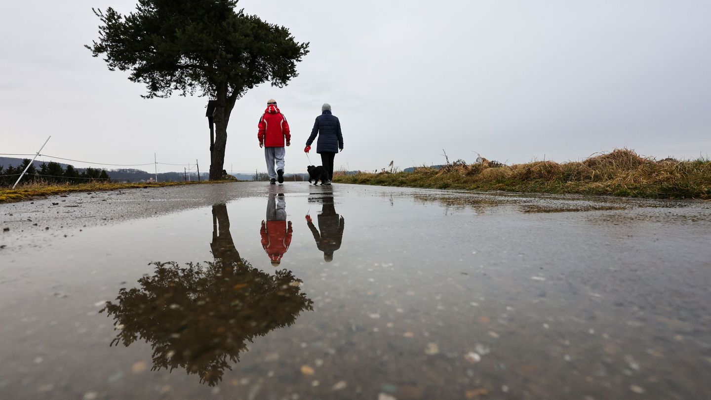 Wetter: Die Woche startet nass - was das für Allergiker bedeutet