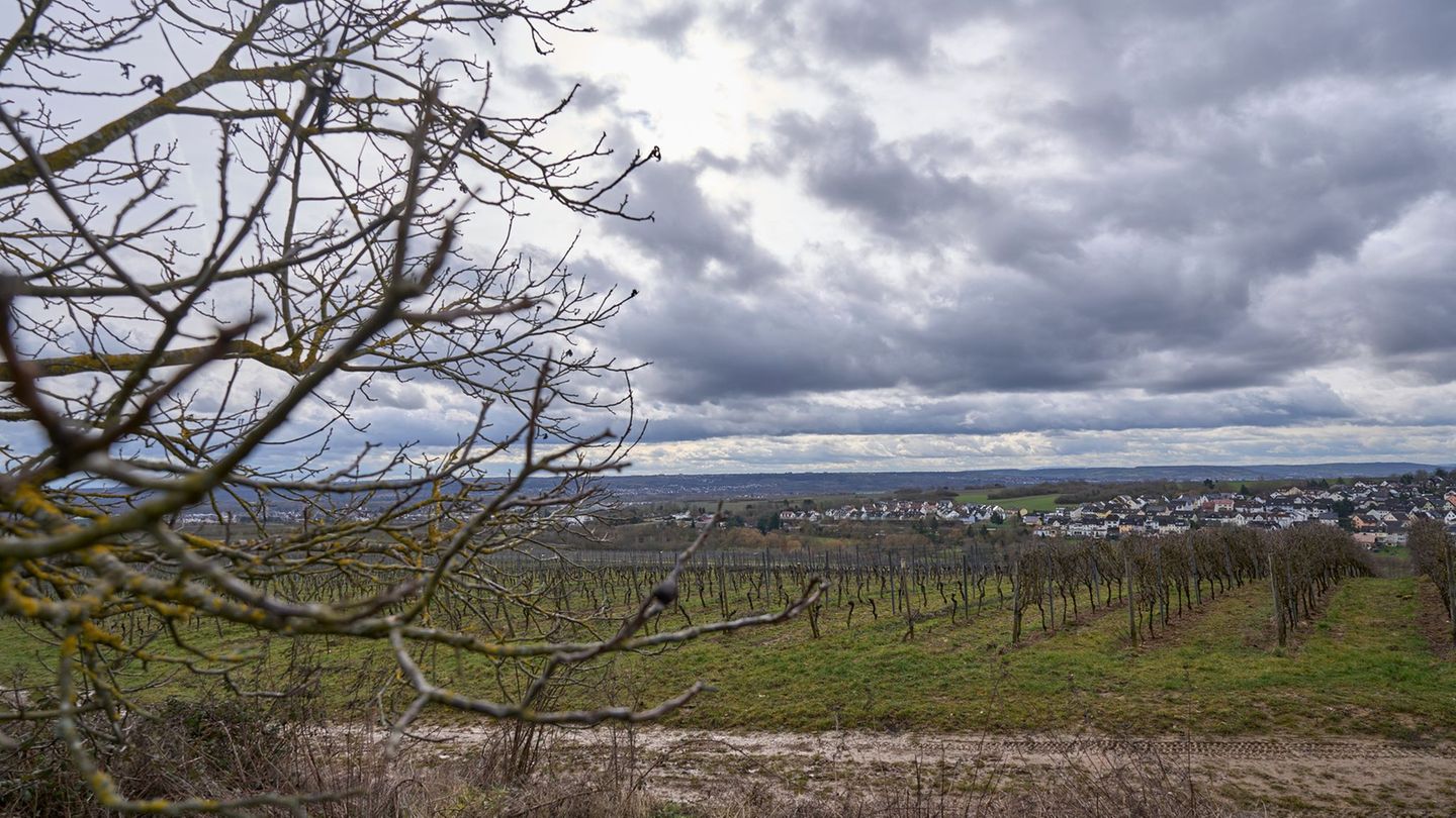 In Hessen wird das Wetter ungemütlich. (Archivbild) Foto: Sascha Ditscher/dpa