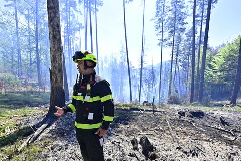 Ein Feuerwehrmann steht in einem Waldgebiet im Nationalpark Böhmische Schweiz. Foto: Hájek Ondøej/CTK/dpa