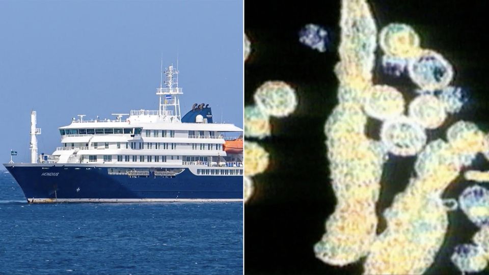 Tote auf Kreuzfahrtschiff: Keim durch Kot-Staub übertragbar