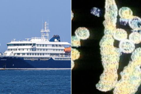 Tote auf Kreuzfahrtschiff: Keim durch Kot-Staub übertragbar