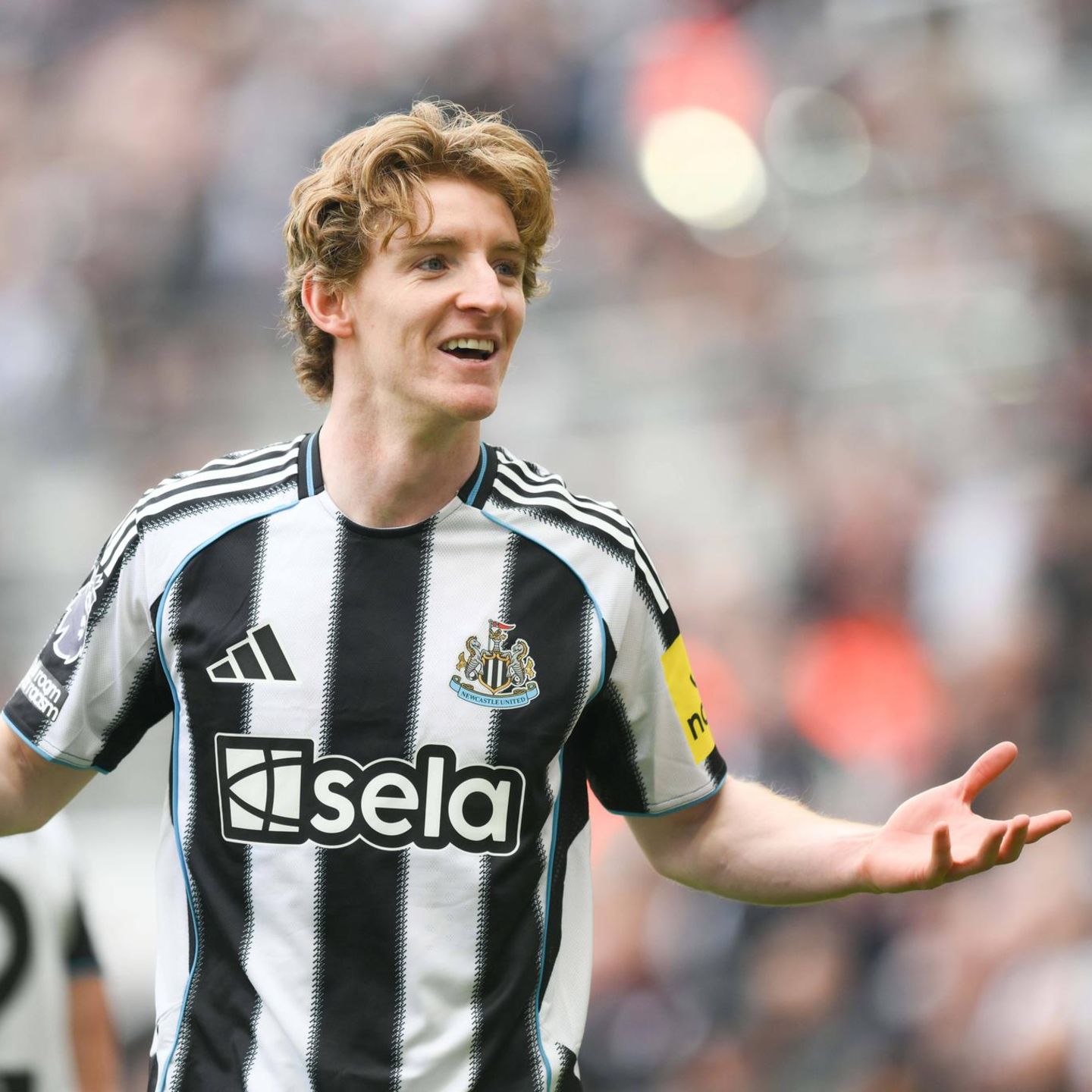 Offenbar Wunschspieler des FC Bayern: Der englische Nationalspieler Anthony Gordon von Newcastle United