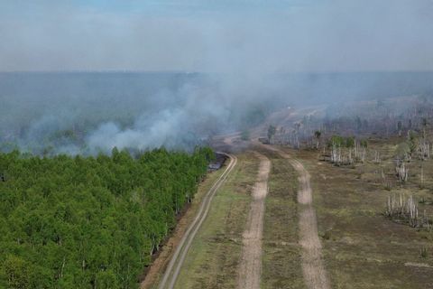 Das Feuer in einem Waldgebiet bei Jüterbog ist eingedämmt. Foto: Manuel Genolet/dpa