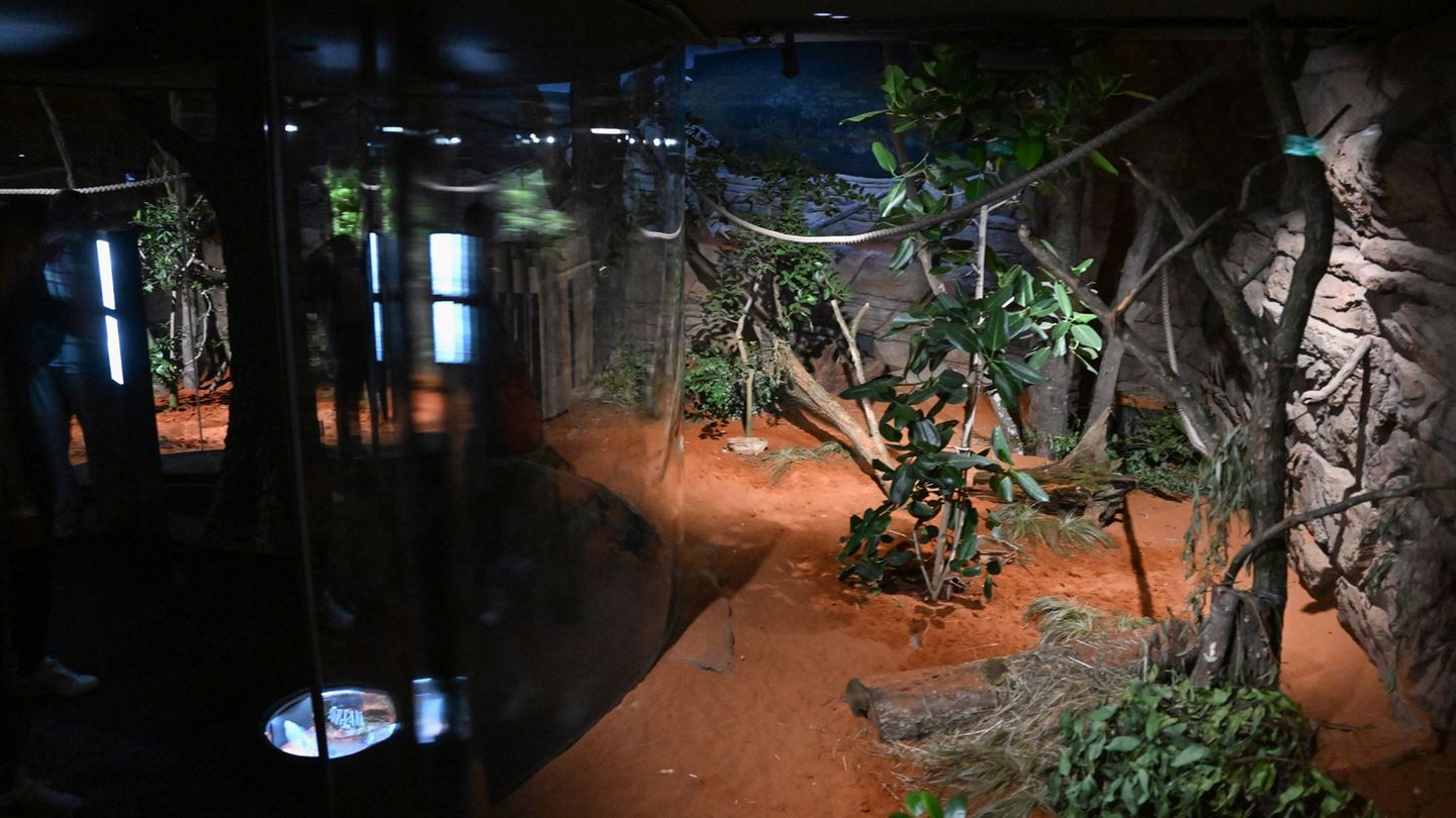 Im Dunkelbereich der Terra Australis sind nach Polizeiangaben zwei Kinder verletzt worden. (Archivbild) Foto: Bernd Weißbrod/dpa