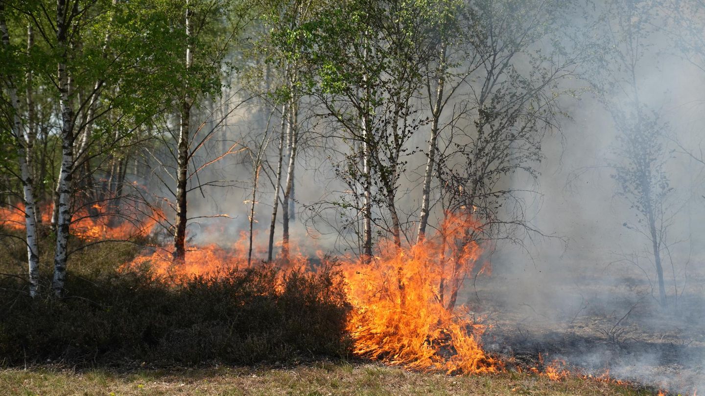 Waldbrand in Deutschland in Jüterbog