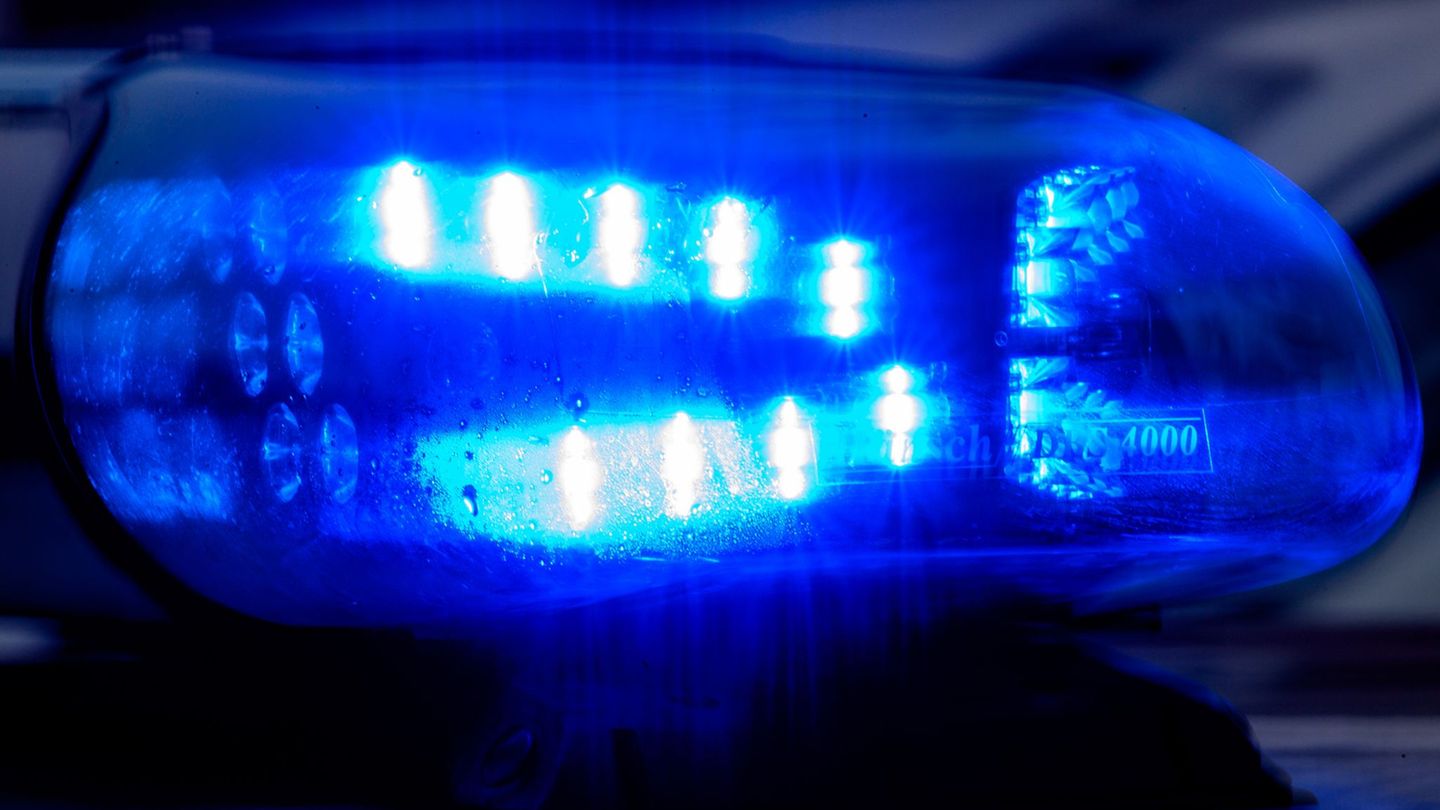 Schuss mit Schrotmunition: Frau bei Suche nach Hund von Selbstschussanlage verletzt