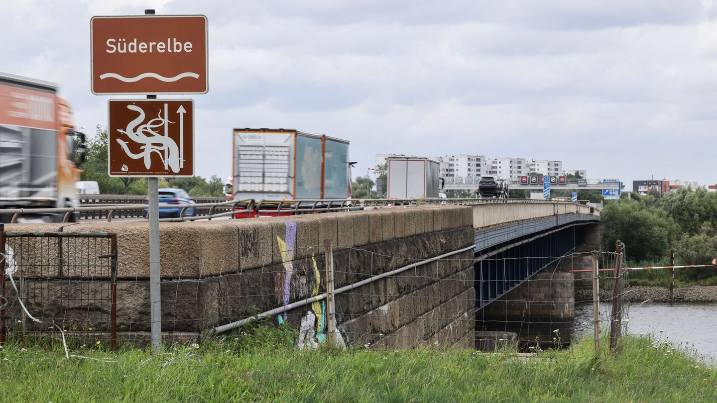 Die Süderelbbrücke der A1 wird in den kommenden drei Nächten in Fahrtrichtung Süden gesperrt. (Archivbild) Foto: Christian Chari