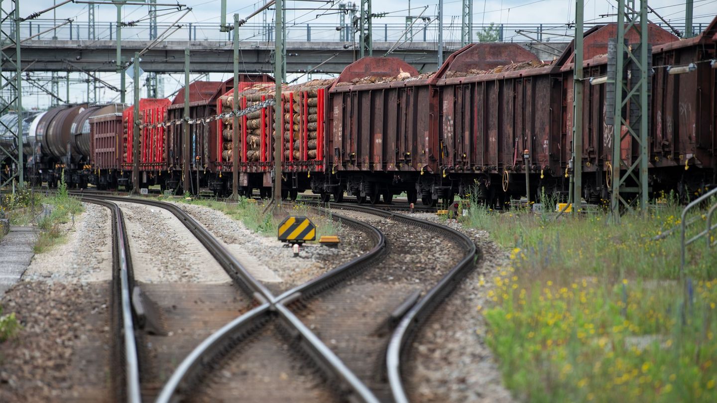 Der 20-Jährige war von einem Brückengeländer auf das Zugdach gesprungen. (Symbolbild) Foto: Sven Hoppe/dpa