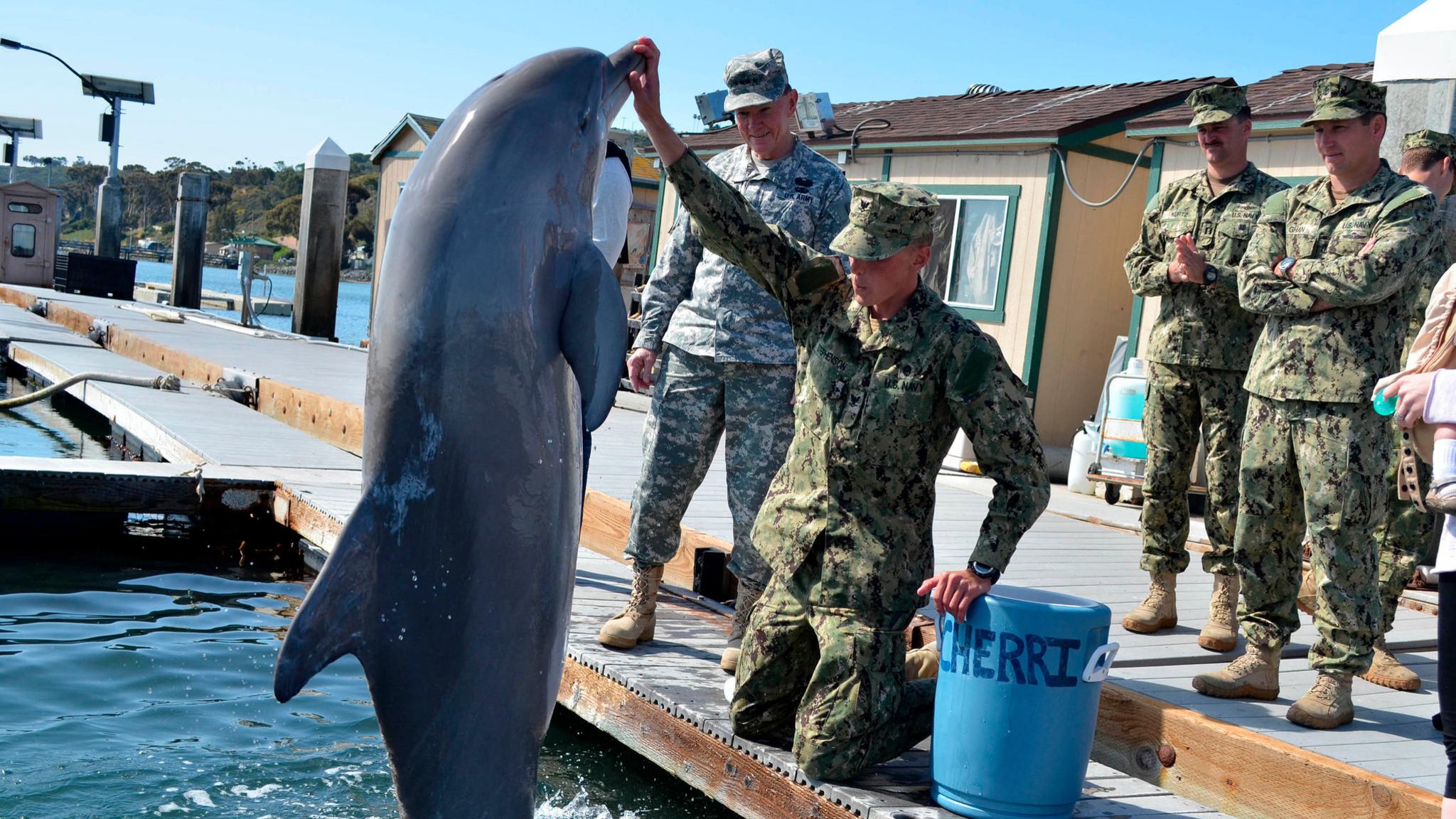 Delfin springt vor einem Soldaten aus dem Wasser