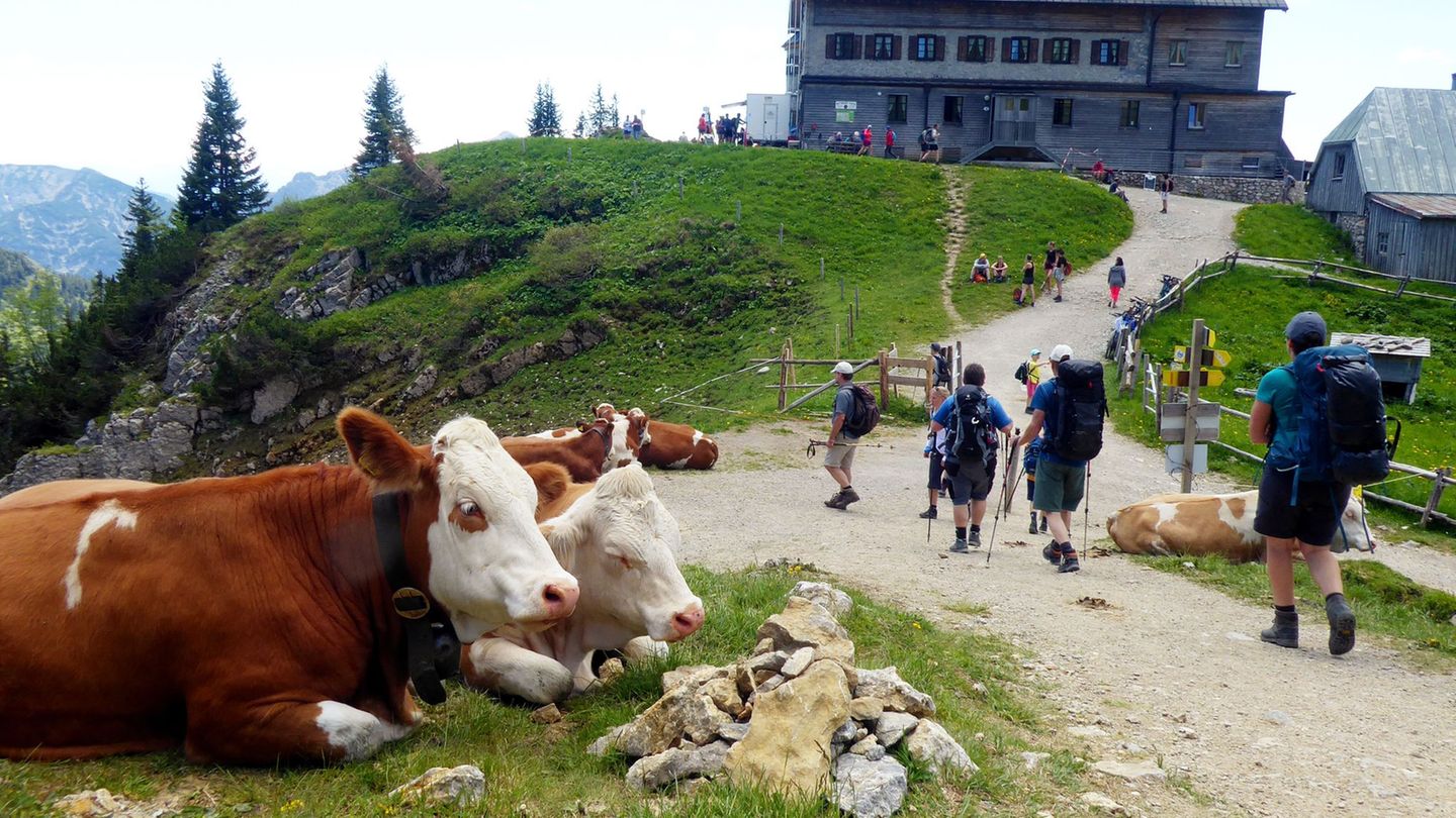 Das Rotwandhaus ist ein beliebtes Wanderziel. (Archivbild) Foto: Angelika Warmuth/dpa