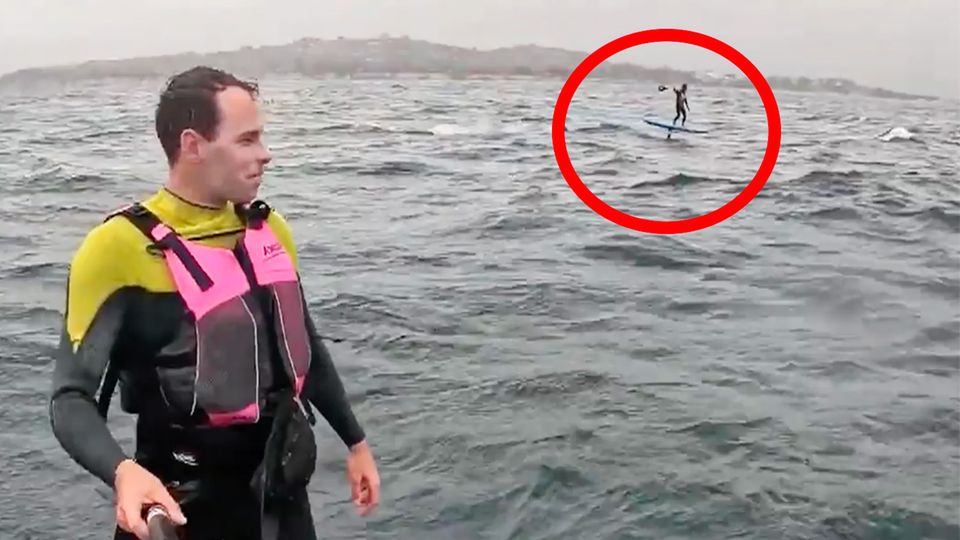 Minutenlange Verfolgungsjagd: Riesiger Drei-Meter-Hai rast auf Surfer zu