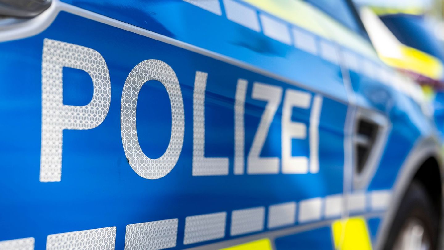 Eine der abgebrochenen Baumkronen landet in einem Klohäuschen auf dem Grillplatz. (Symbolbild) Foto: David Inderlied/dpa
