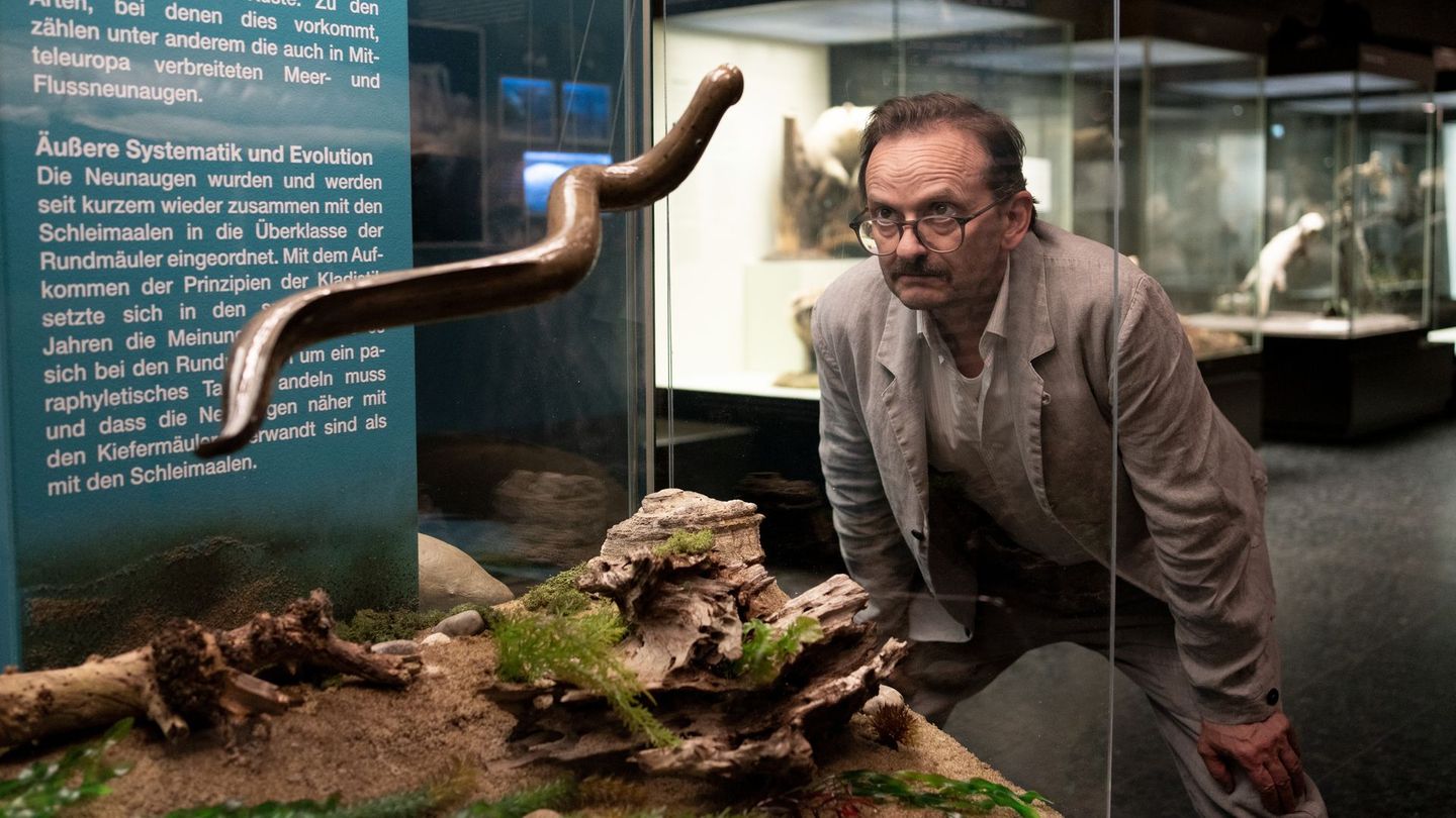 Beim Abgleich der Bissspuren an den Mordopfern mit Bildern im Internet findet Danowski (Milan Peschel) heraus, dass sie von Neunaugen stammen müssen. Im Museum erfährt er mehr über die "lebenden Fossilien".