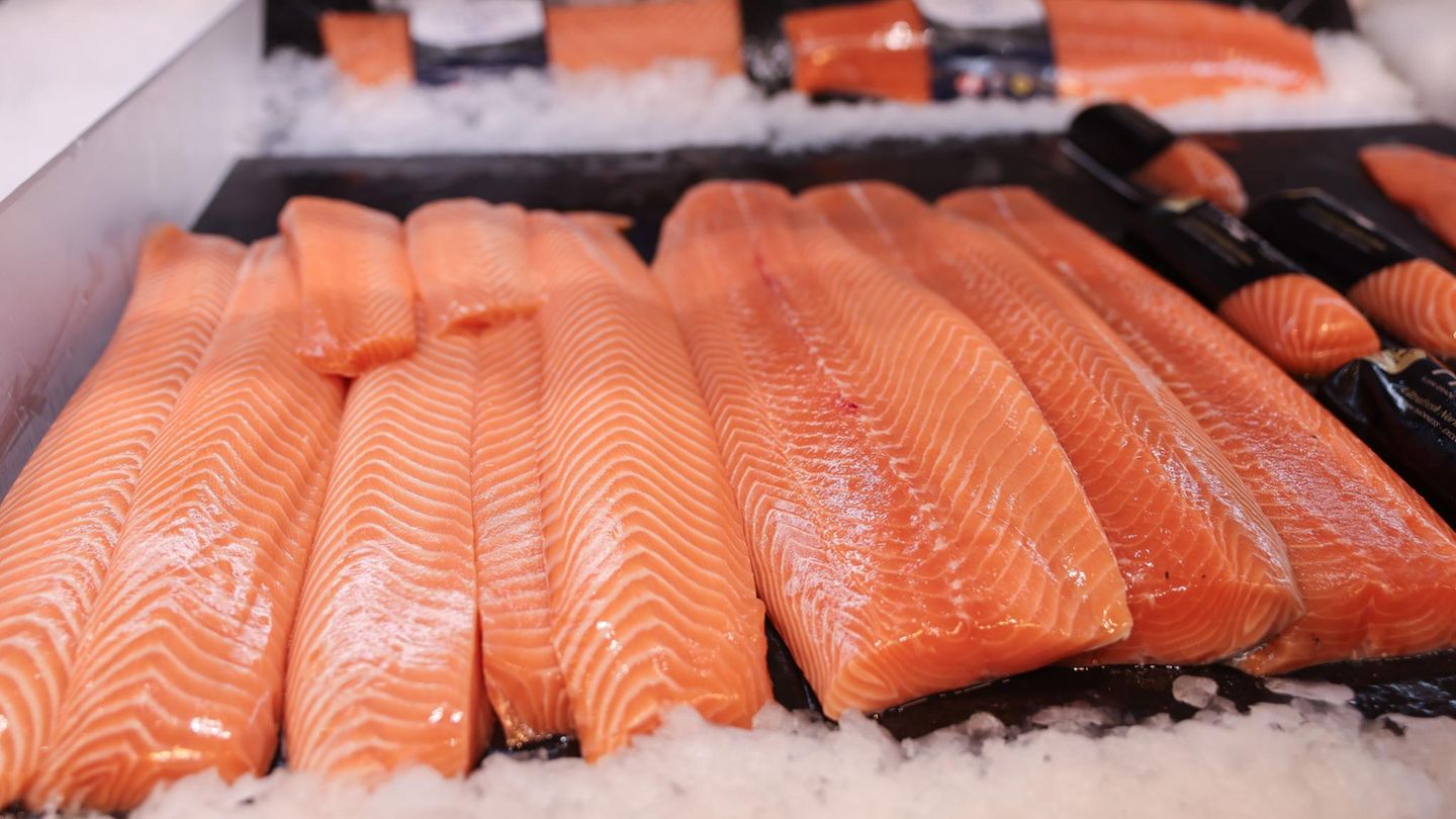 Lachs in Auslage