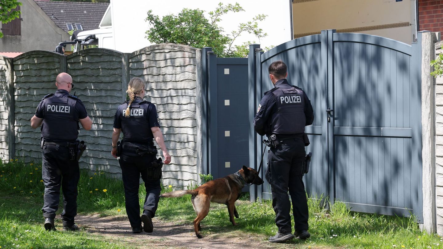 Neben Goldspürhunden kommen laut LKA auch Bargeldspürhunde und ein Röntgenmobil vom Zoll zum Einsatz. Foto: Bernd Wüstneck/dpa