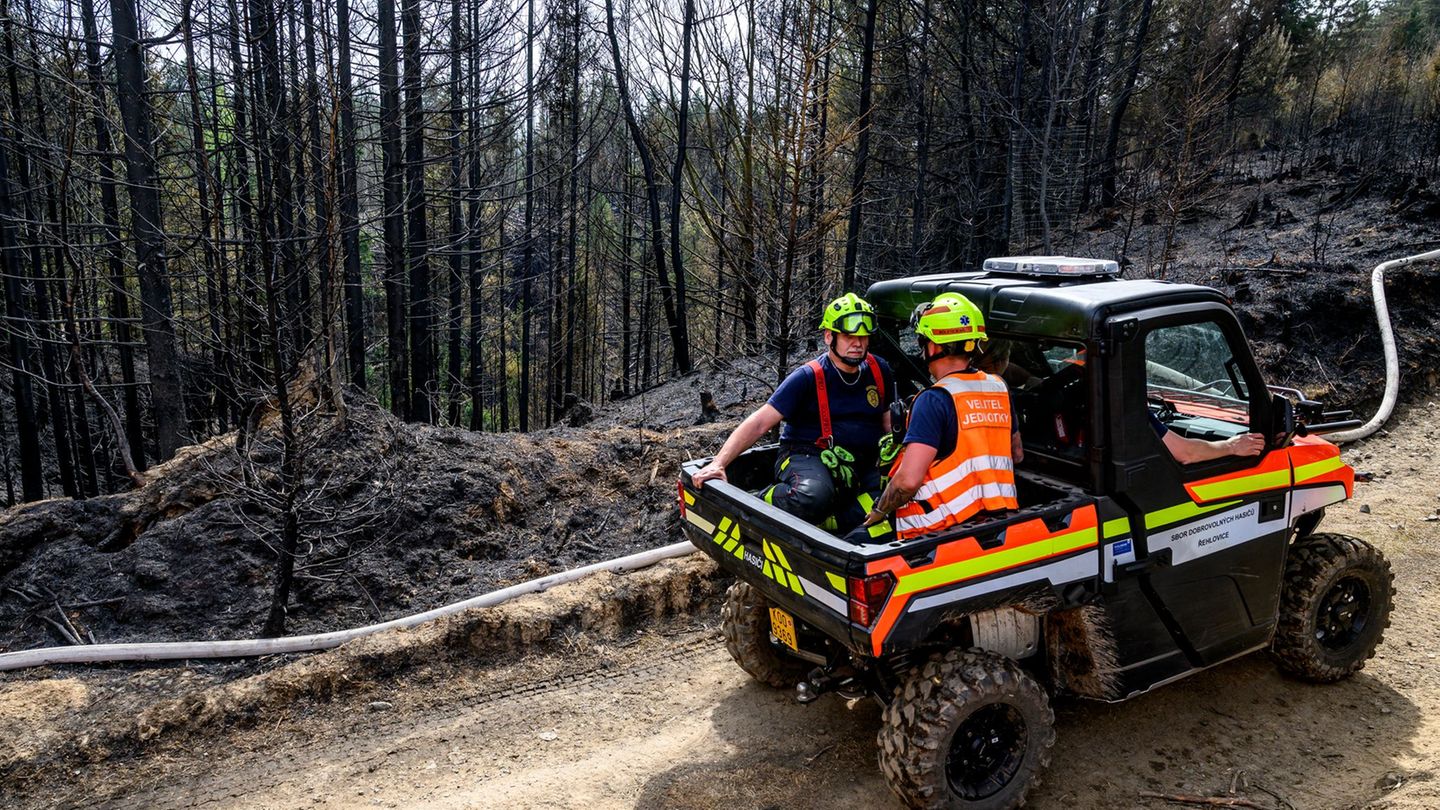 Nationalpark Böhmische Schweiz: Waldbrand in tschechischem Grenzgebiet unter Kontrolle