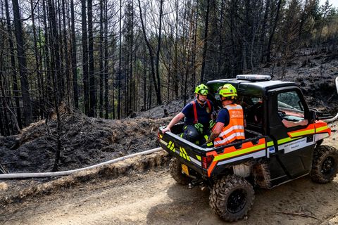 Feuerwehrleute fahren mit einem geländegängigen Einsatzfahrzeug auf einem Waldweg. Foto: Hájek Ondøej/CTK/dpa