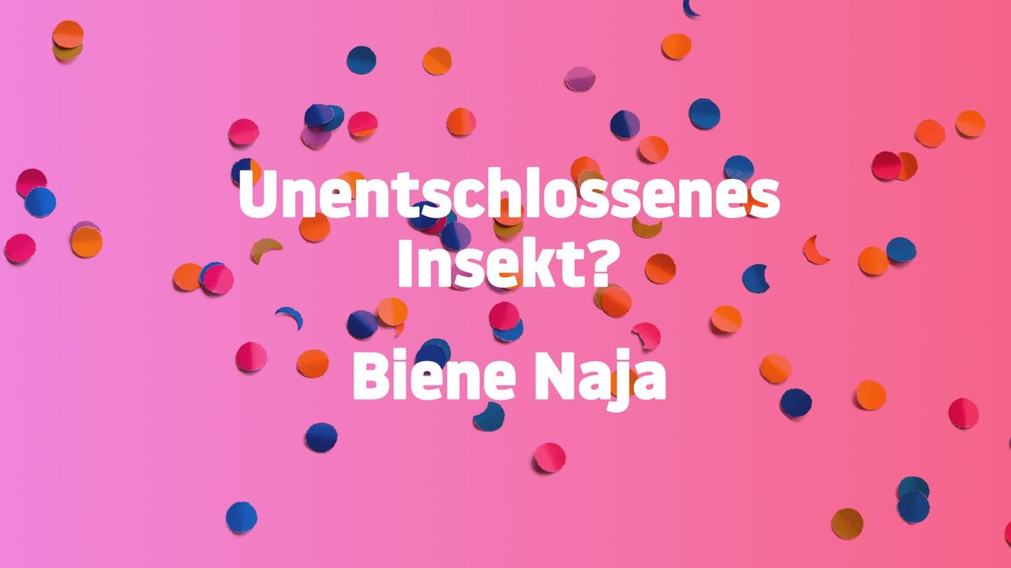 Jetzt noch flacher!: Weil's so doof war: Noch mehr blöde Witze ohne jedes Niveau