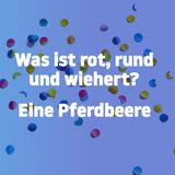 Jetzt noch flacher!: Weil's so doof war: Noch mehr blöde Witze ohne jedes Niveau