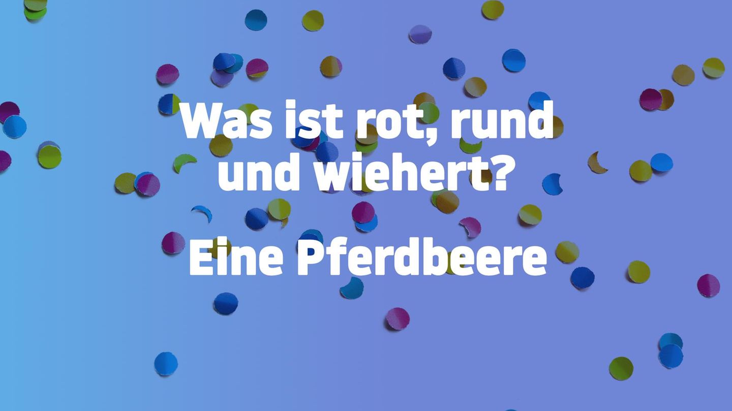Jetzt noch flacher!: Weil's so doof war: Noch mehr blöde Witze ohne jedes Niveau